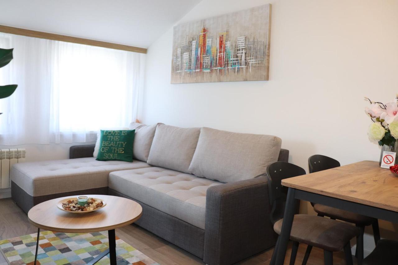 בלגרד Apartman Mila 21 מראה חיצוני תמונה