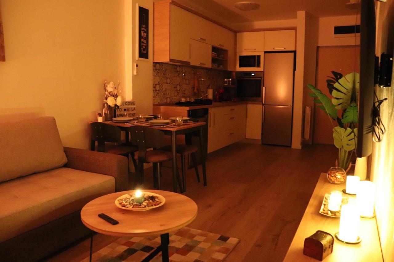 בלגרד Apartman Mila 21 מראה חיצוני תמונה